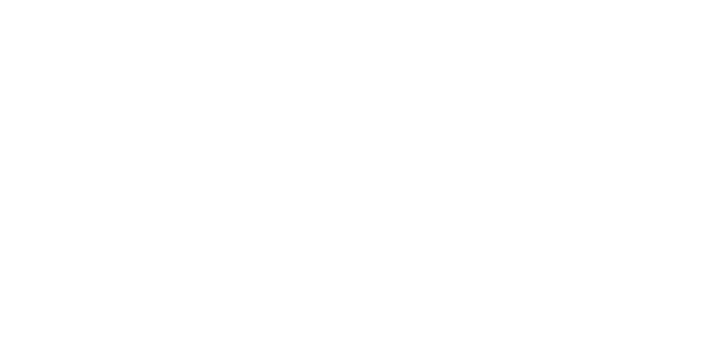 Gunnegalderie Logo